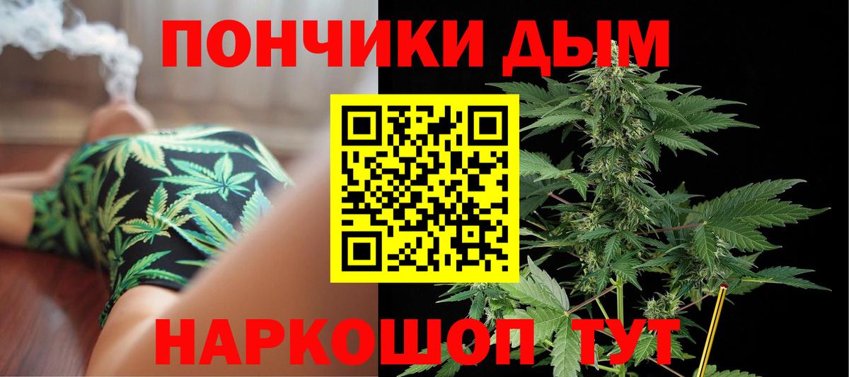 Марихуана сатива Курчалой